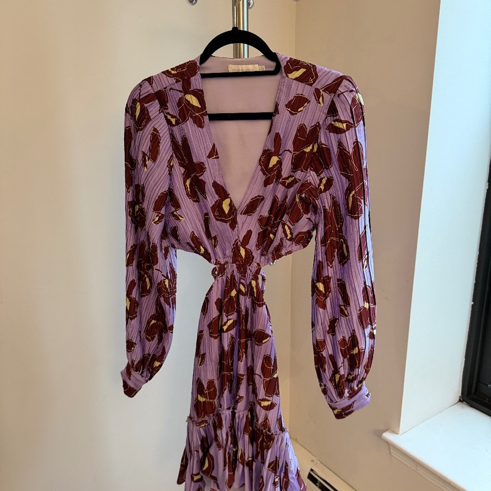 Johnathan Simkhai Cut out dress